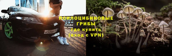 мяу мяу мука Арсеньев